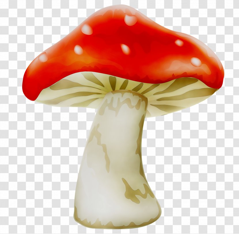 Clip Art Common Mushroom Image - Agaric - Fly Transparent PNG