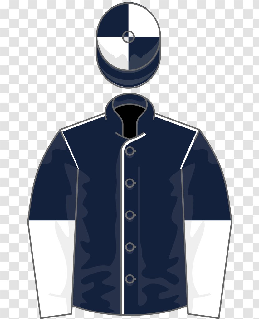 Horse Curragh Racecourse Racing Silks Bondi Beach - Blue Transparent PNG