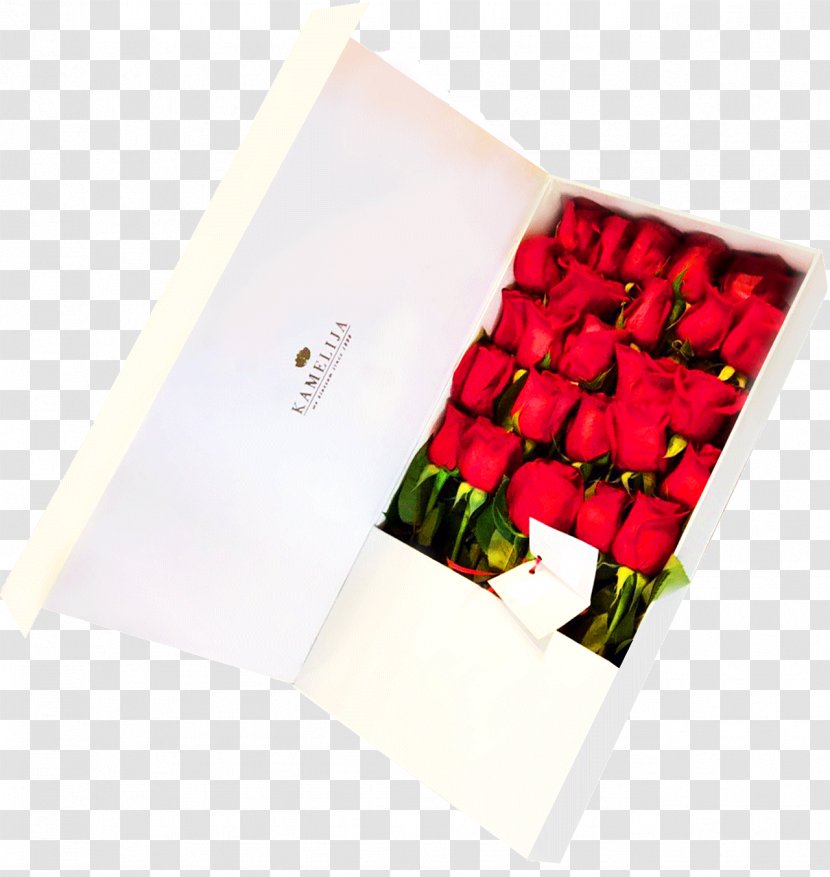Paper Flower Box Material - Balcony Transparent PNG