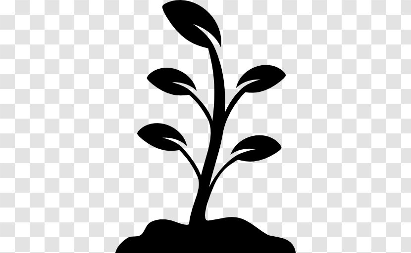 Plant - Ecology - Grows Transparent PNG