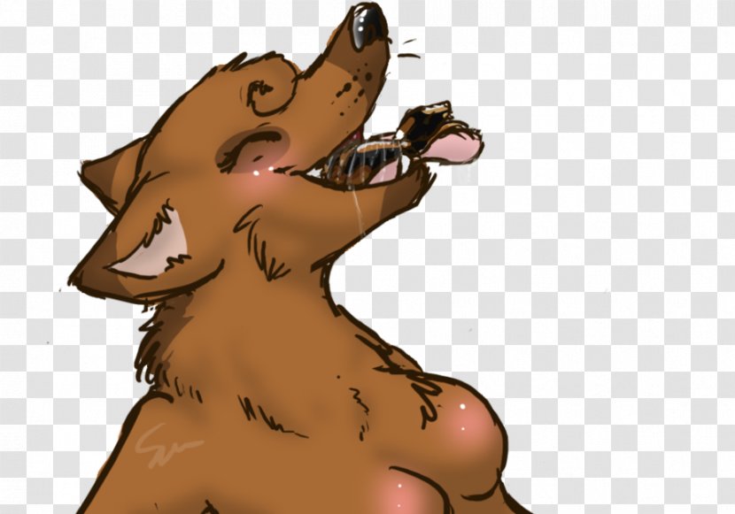Dog Bear Snout Paw Cat - Head Transparent PNG