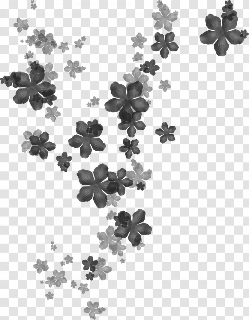 Flower Computer Software Paintbrush Clip Art - Petal - Black Transparent PNG