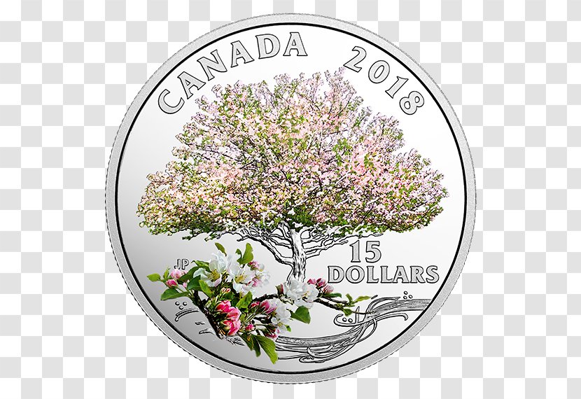 Canada Silver Coin Royal Canadian Mint - Plant - Apple Transparent PNG