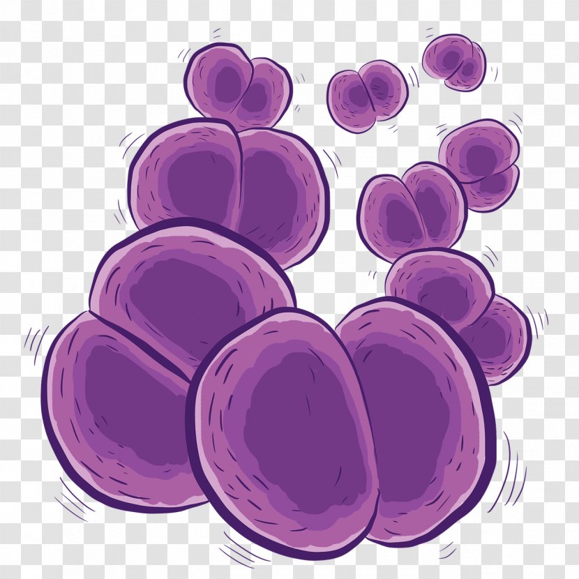 Meningococcus Meningitis Bacteria Infection Vaccine - Bacterial Vaginosis - Pathogen Sterilized Transparent PNG