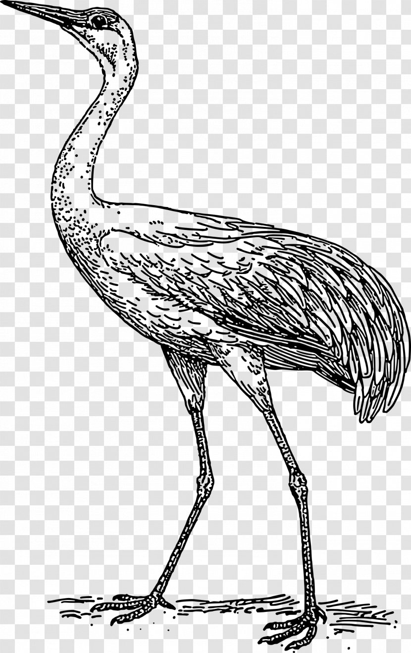 Blue Crane Heron Bird Clip Art - Ciconiiformes Transparent PNG