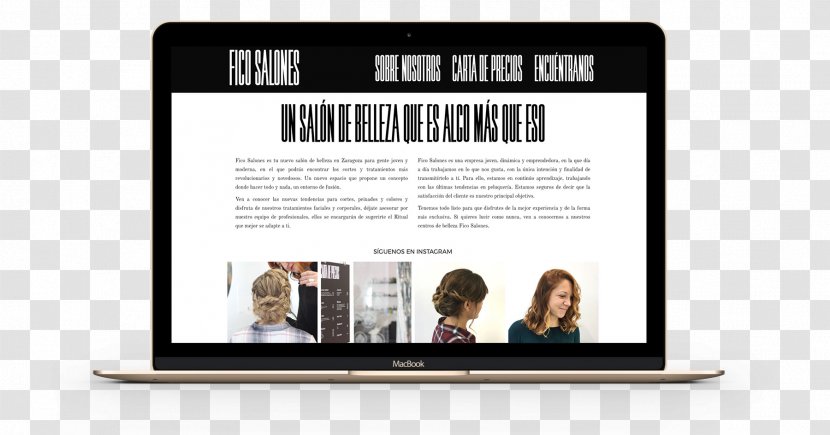 Multimedia FICO SALONES World Wide Web Masvisual Design - Beauty Parlour Transparent PNG