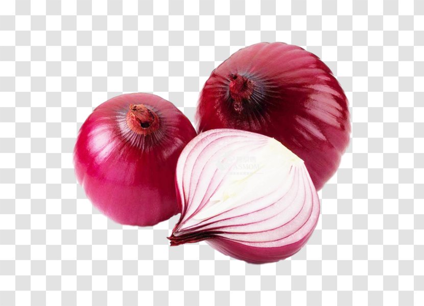 Red Onion Vegetable Food Potato White - Magenta Transparent PNG