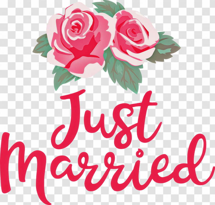 Just Married Wedding Transparent PNG