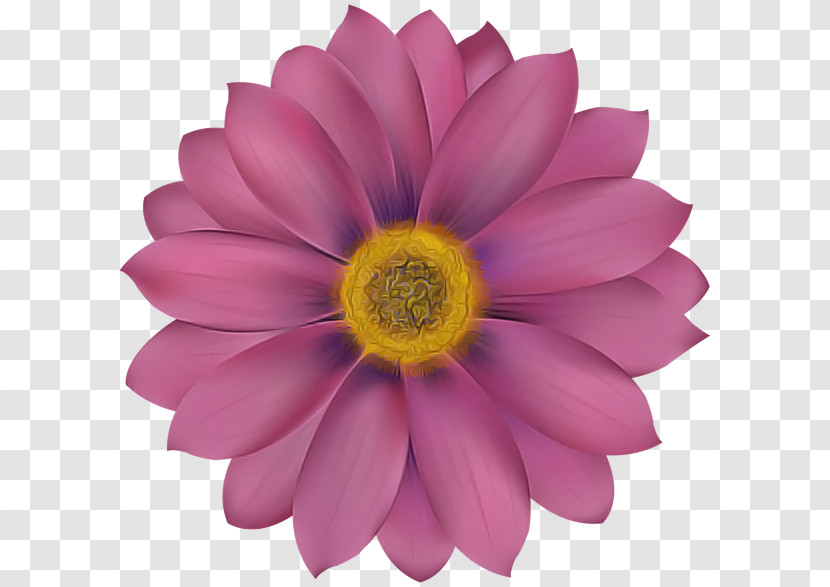 Artificial Flower Transparent PNG