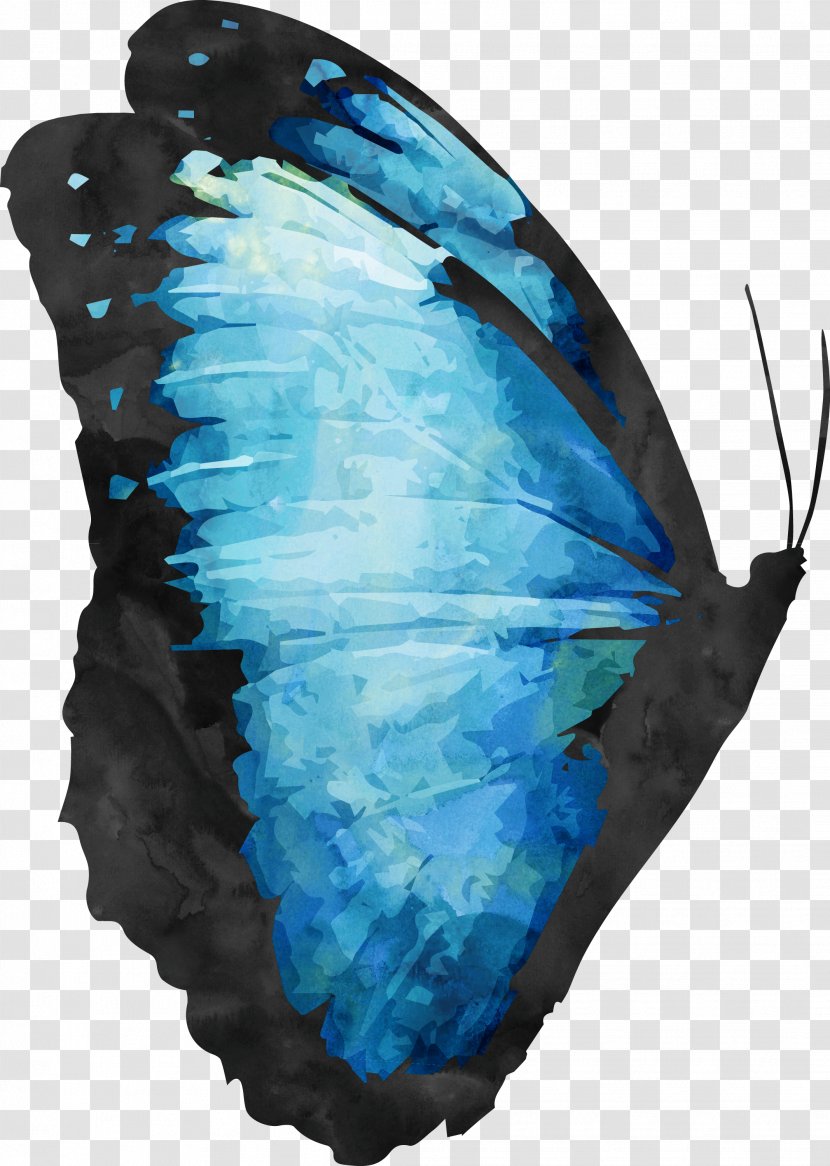 Butterfly Download - Wing Transparent PNG
