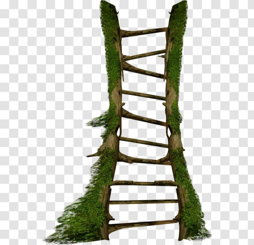 Stairs Ladder - Plant Branch Transparent PNG