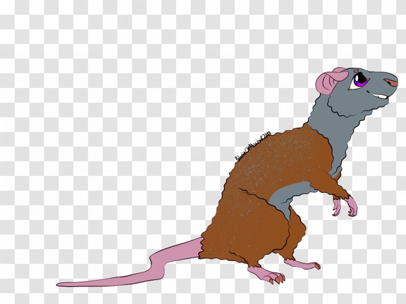 Ferret Mouse Rat Cat Rodent - Like Mammal - & Transparent PNG