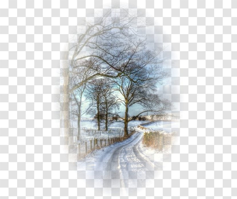 Winter Photograph Snow Image Road - Beautiful Transparent PNG
