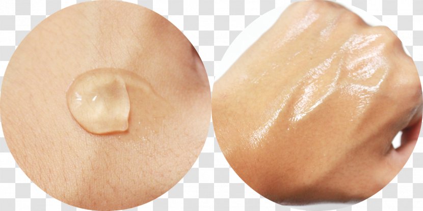 Damyang The Face Shop Bamboo Skin Care - Moisture Transparent PNG