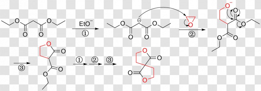 Diethyl Malonate Malonic Acid Ester Synthesis - Tree - Reaction Transparent PNG