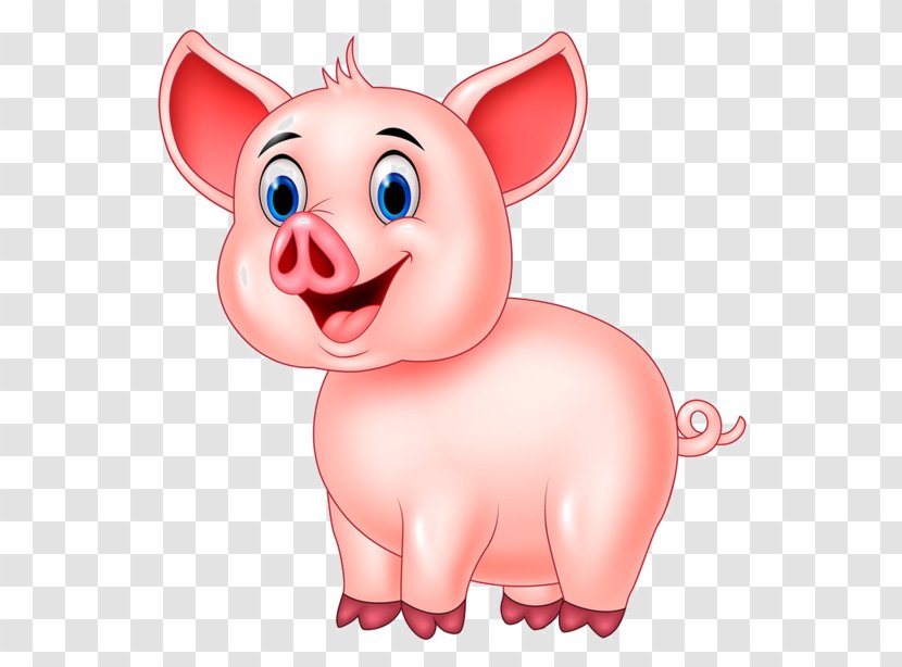 Domestic Pig Piglet - Cartoon Transparent PNG
