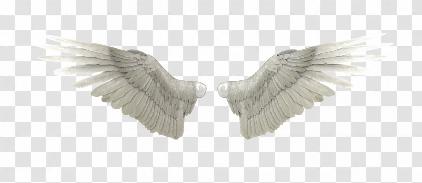 DeviantArt Angel Heaven - Blue Wildebeest - Wings Transparent PNG