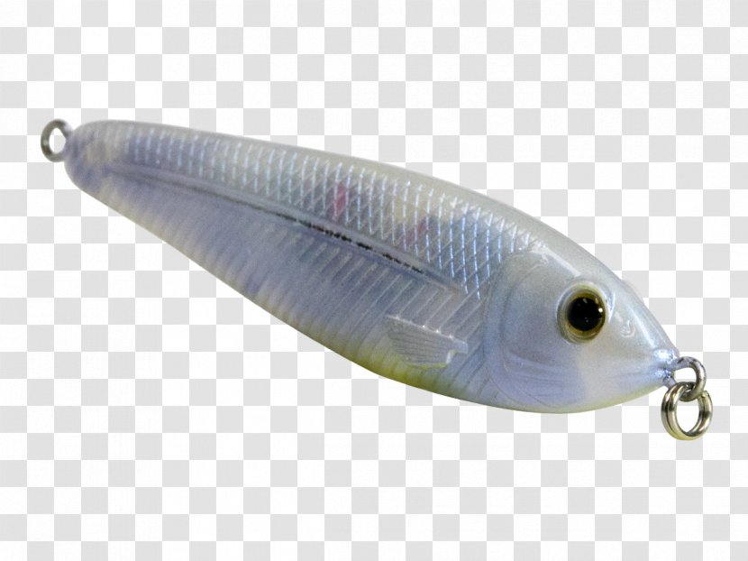 Spoon Lure Fish Transparent PNG