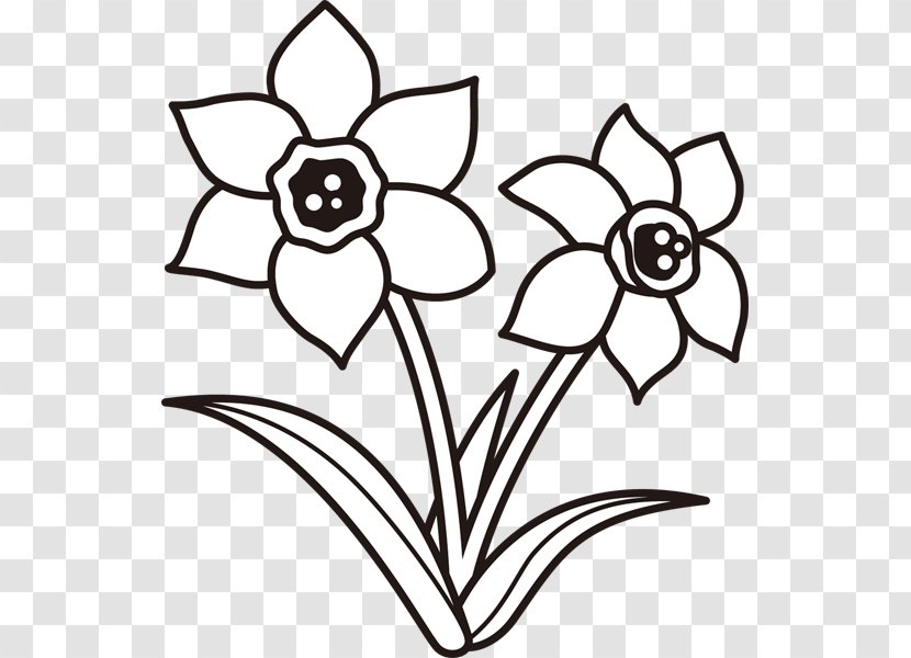 Drawing Monochrome Painting Plant Clip Art - Black And White Transparent PNG