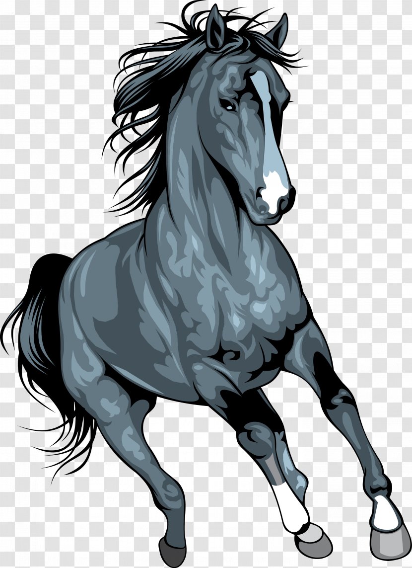 Mustang Arabian Horse Horses Clip Art Wild Transparent PNG