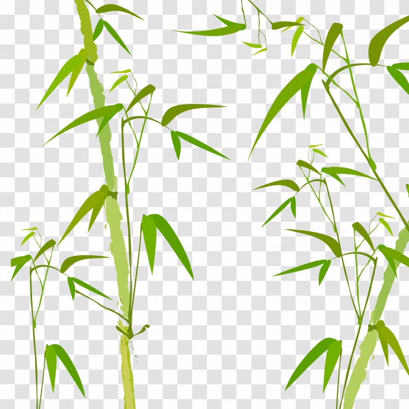 Bamboo Watercolor Painting Poster - Grass - Green Transparent PNG