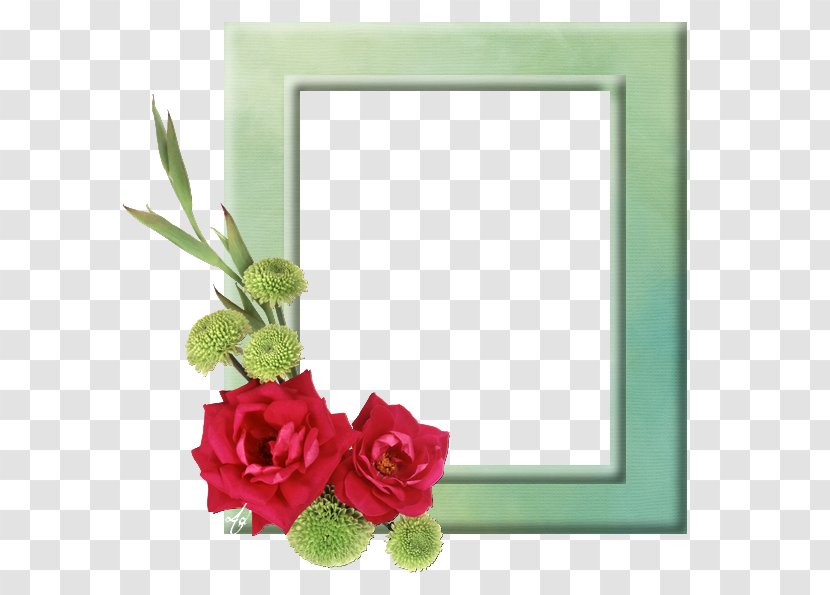 Flower Clip Art Rose Image - Pink - شكر وتقدير Transparent PNG