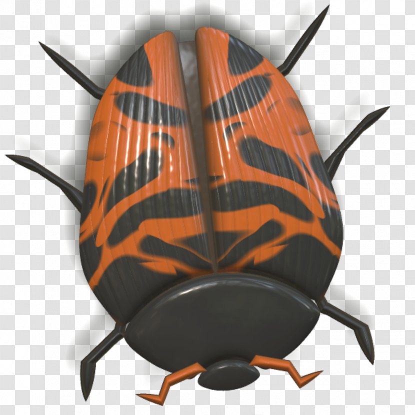 Beetle Orange Pixabay - Membrane Winged Insect Transparent PNG