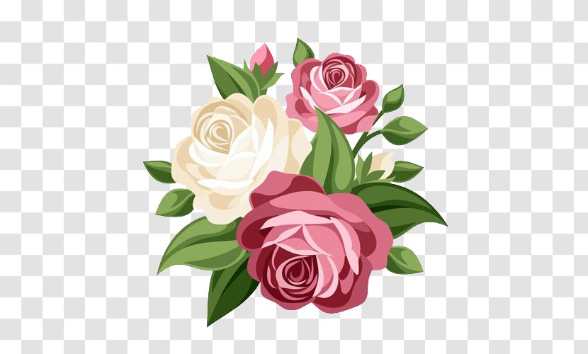 Vector Graphics Rose Clip Art Illustration Image - Garden Roses Transparent PNG