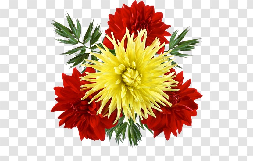 Cut Flowers Chrysanthemum Clip Art - Petal - Flower Transparent PNG