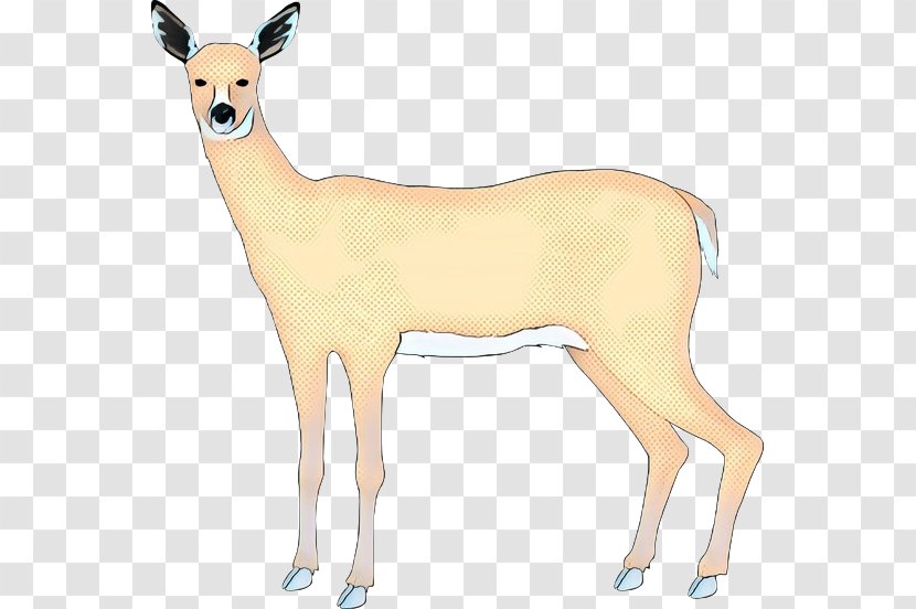 Reindeer White-tailed Deer Moschus Fauna - Neck - Pack Animal Transparent PNG