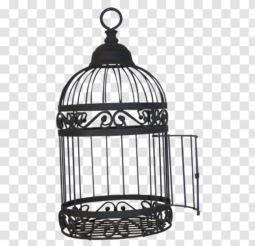 Birdcage Clip Art - Bird Transparent PNG