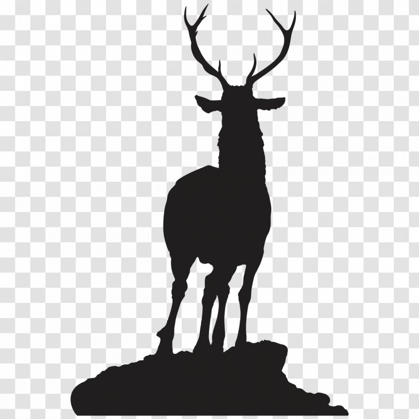 Reindeer Silhouette Elk Roe Deer - Hunting - Rack Of Lamb Transparent PNG