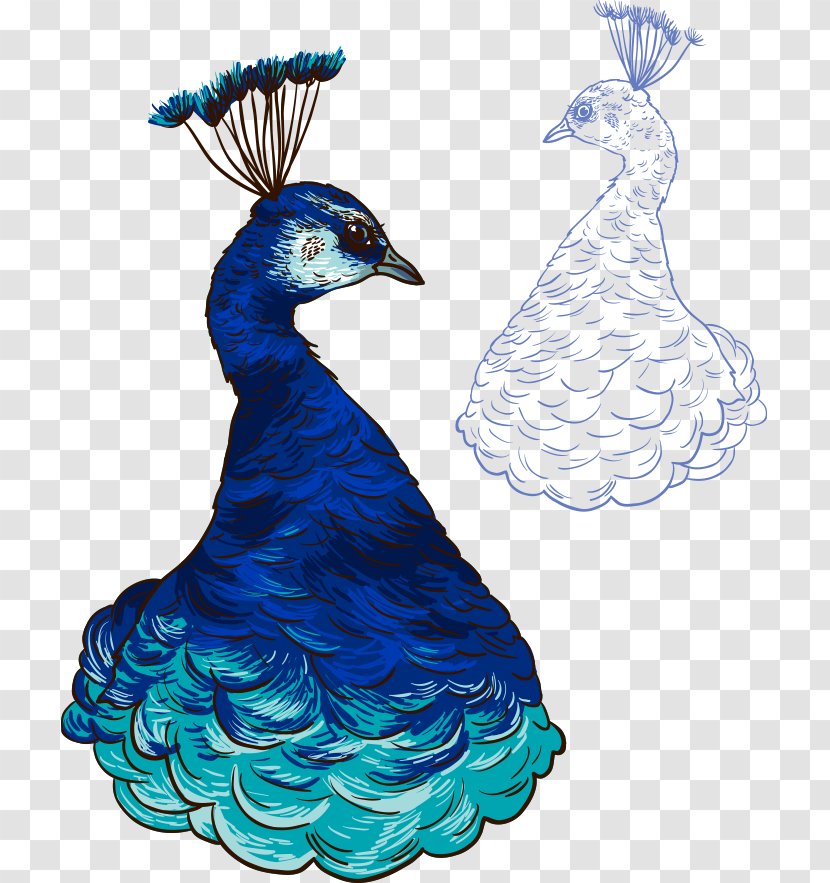 Peafowl Paper Illustration - Rgb Color Model - Hand-painted Artwork Beautiful Blue Peacock Bust Transparent PNG
