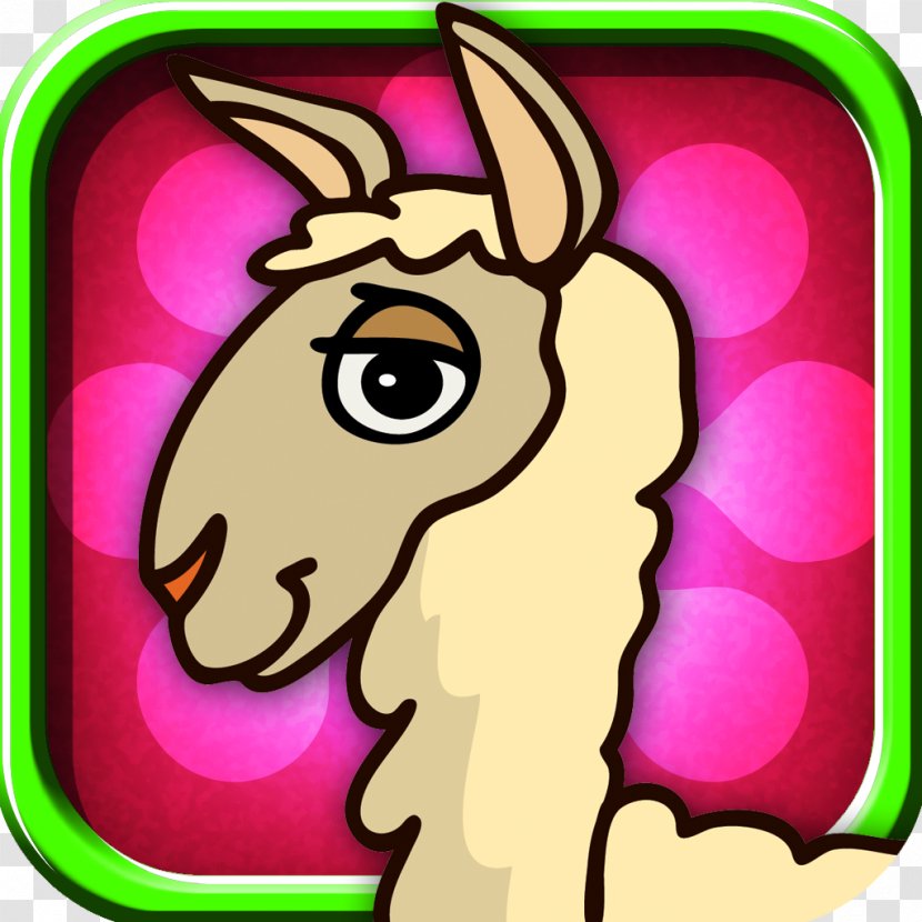 Llama Alpaca Drawing Clip Art - Horse Transparent PNG