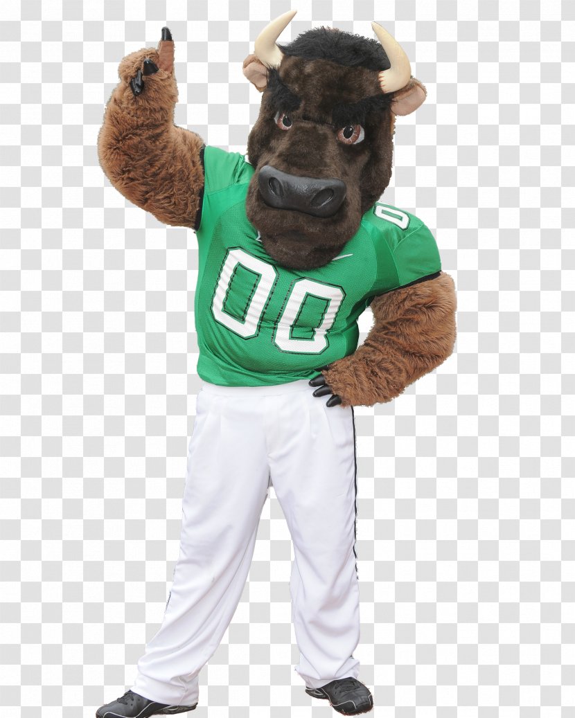 Outerwear Mascot Costume Uniform Headgear - Sport - Marshall D Teach Transparent PNG