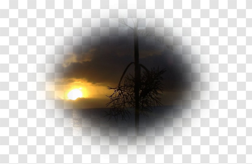 Energy Desktop Wallpaper Computer Tree Sky Plc Transparent PNG