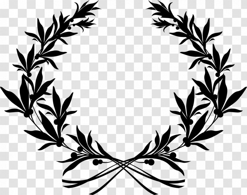 Vector Graphics Clip Art Illustration Stock Photography Olive Wreath - Branch Transparent PNG