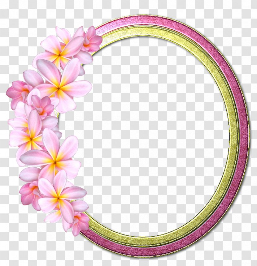 Cut Flowers Pink M Picture Frames Petal - Flower - Dan Transparent PNG