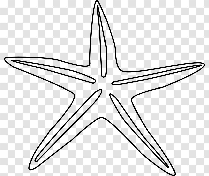 Starfish Coloring Book Line Art Clip - Star - Free Images Transparent PNG