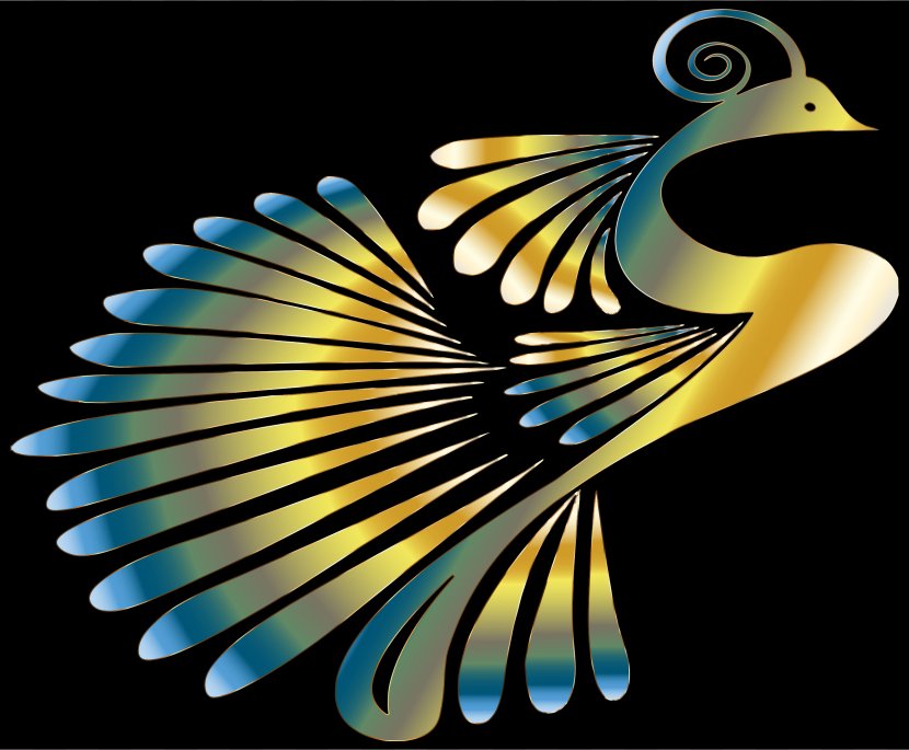 Bird Peafowl Color Desktop Wallpaper Clip Art - Public Domain - Peacock Transparent PNG