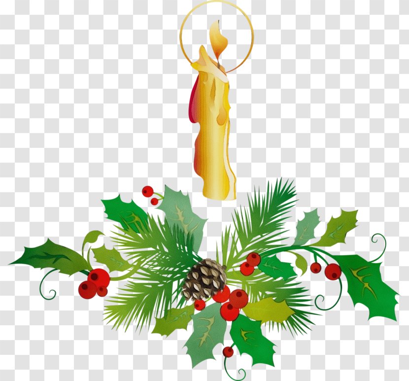 Watercolor Christmas Tree - Holiday Ornament - Evergreen Colorado Spruce Transparent PNG