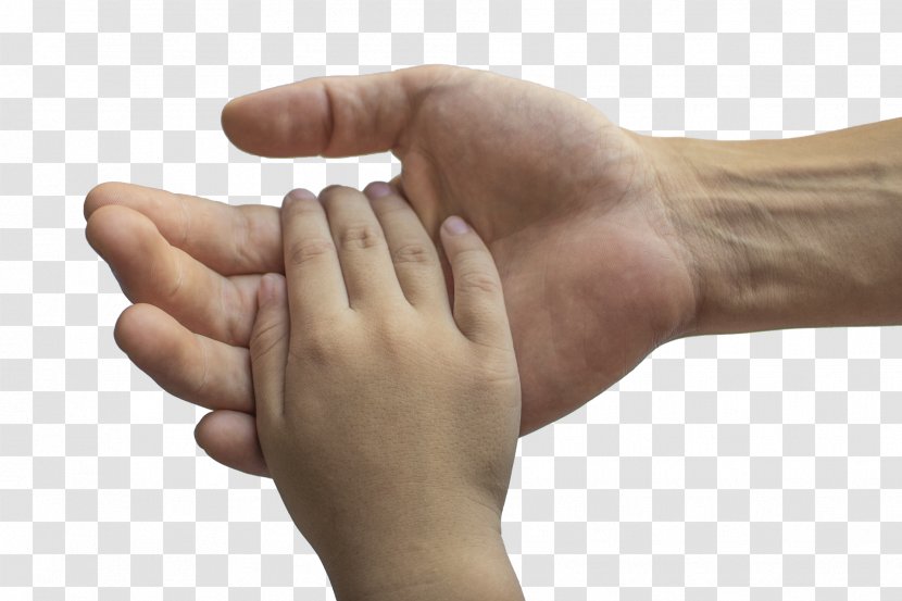 Child Support Custody Family Divorce Transparent PNG
