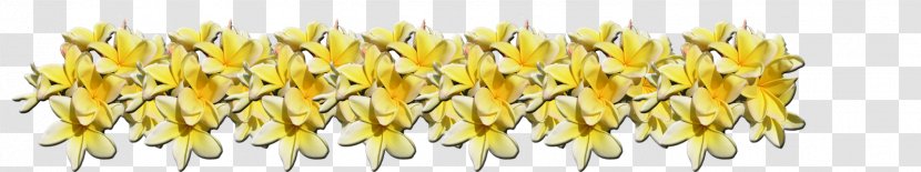 Red Frangipani Plumeria Alba Plants Image Flower - Maize - Fragrant Tropical Flowers Growing In Hawaii Transparent PNG