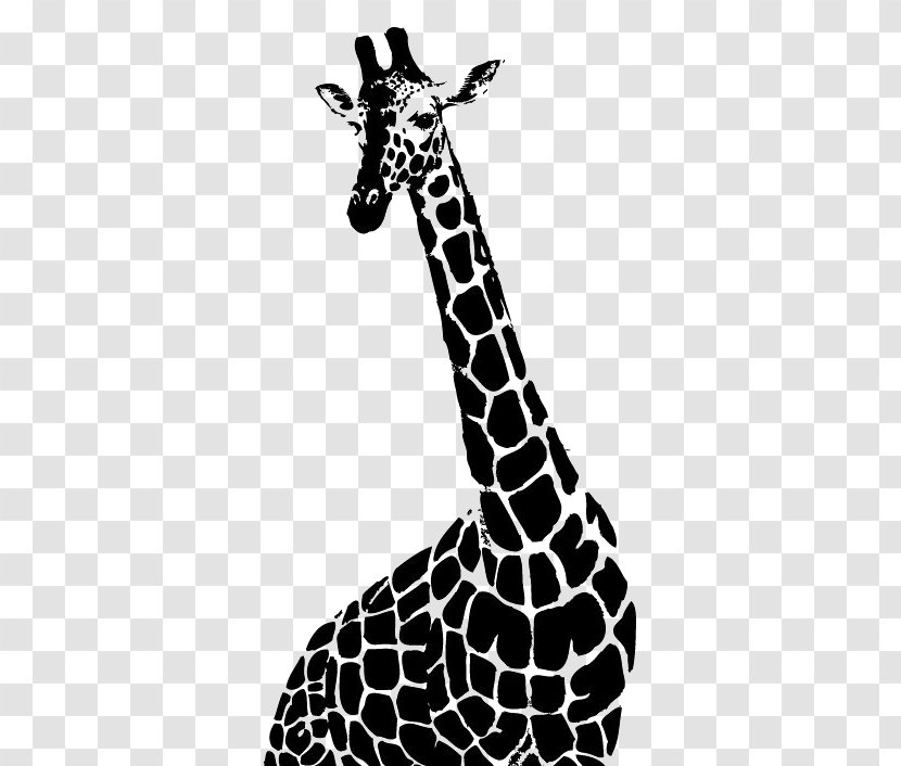 Drawing Northern Giraffe Monochrome Photography Illustration - Mammal - Black And White Transparent PNG