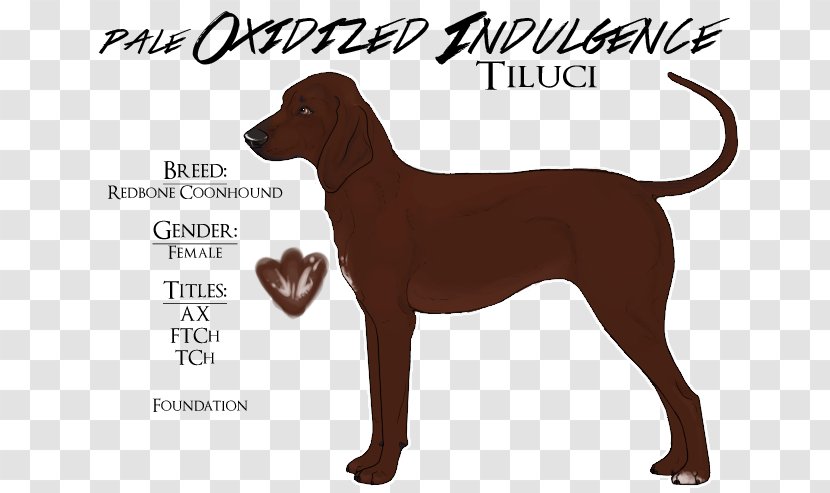 Dog Breed German Shorthaired Pointer Dachshund - Carnivoran - Redbone Coonhound Transparent PNG