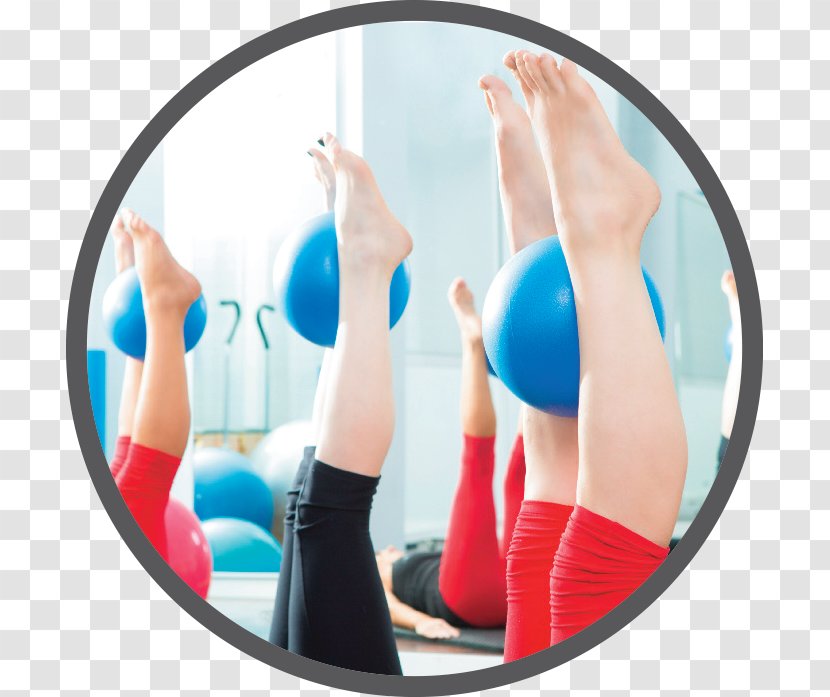 Exercise Balls Pilates Fitness Centre Physical Woman - Tree Transparent PNG