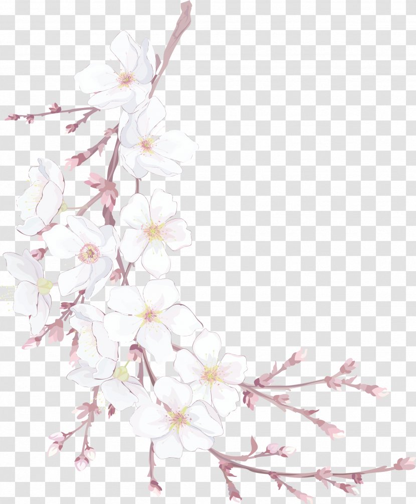 Flowers - Color - Cherry Blossom Transparent PNG