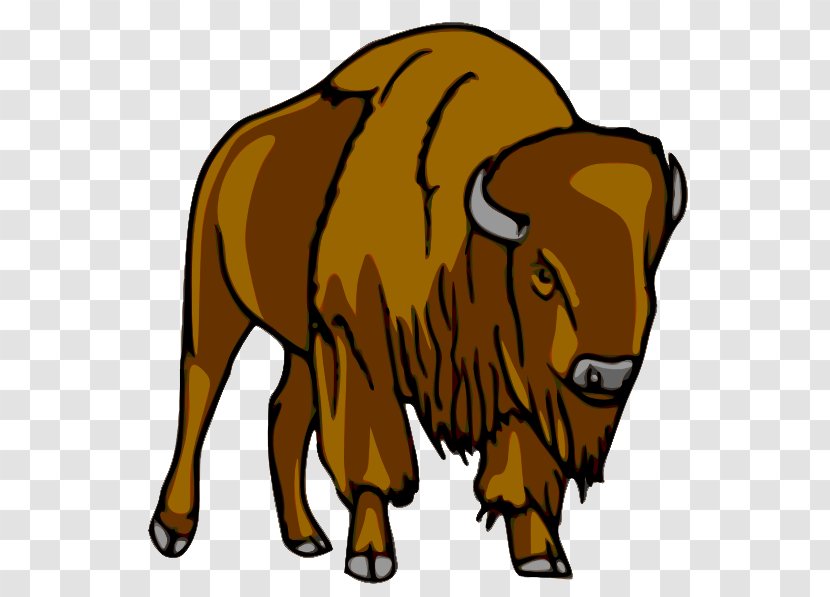 American Bison Clip Art - Bull - Fierce Bulls Transparent PNG
