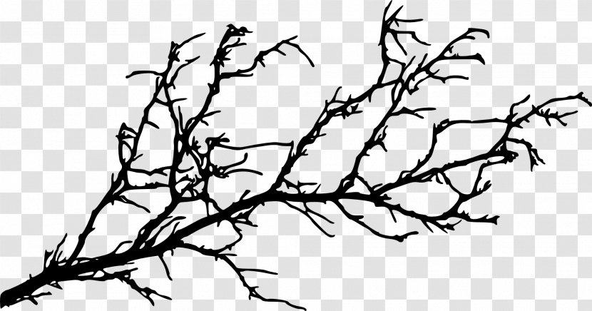 Branch Tree Silhouette Twig - Manzanita - Branches Transparent PNG