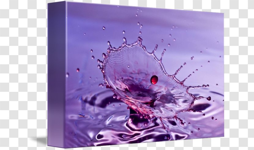 Coffee Cup Water Cafe - Purple Splash Transparent PNG